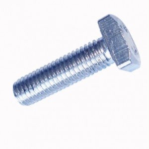 Square-Head-Bolt