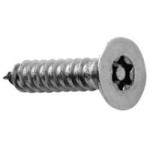 TORX WITH PIN