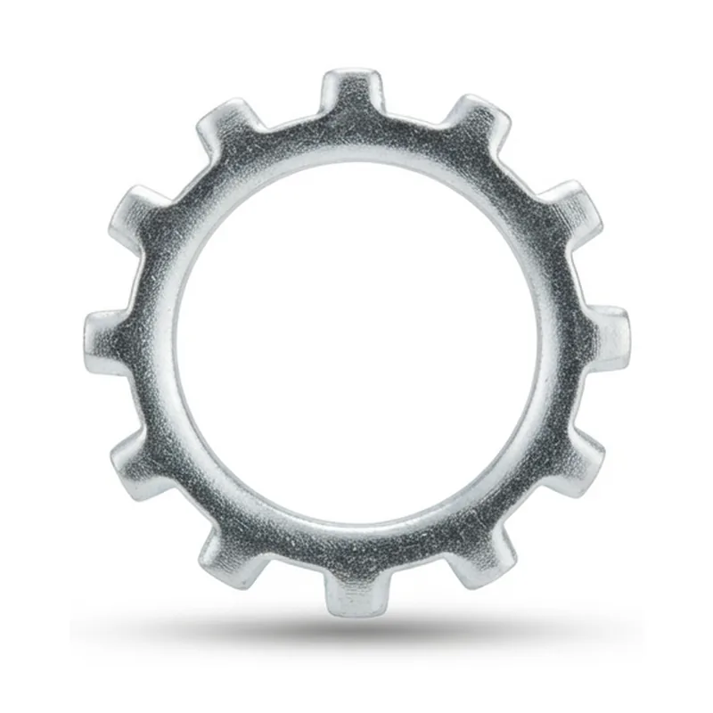 M21 External Tooth Washer