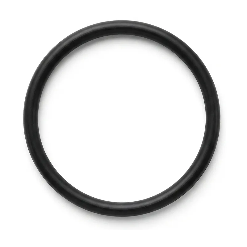 Rubber O-ring